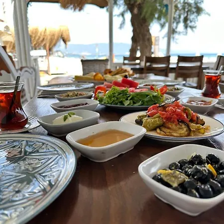 ホテル Apelles Butik