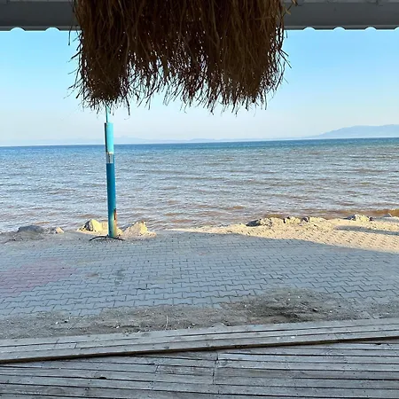 Apelles Butik * セェフェリヒサール