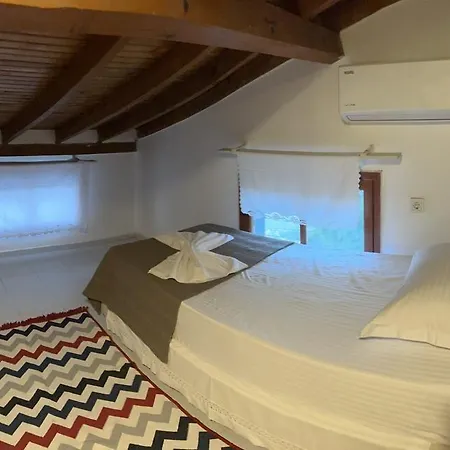 ホテル Apelles Butik セェフェリヒサール